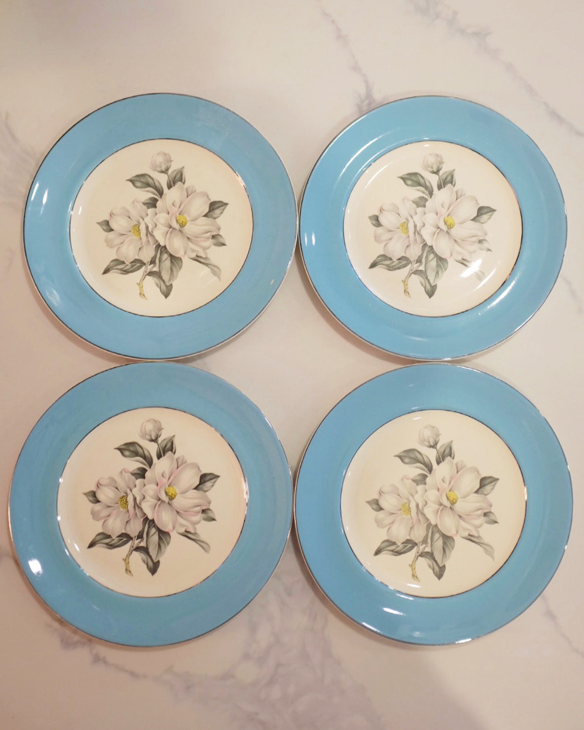 Blue and White Floral Plates