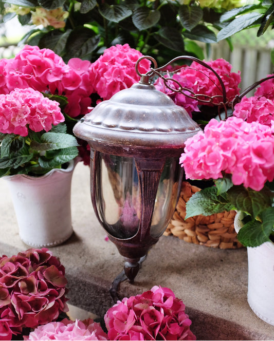 Acorn Ceiling Lantern