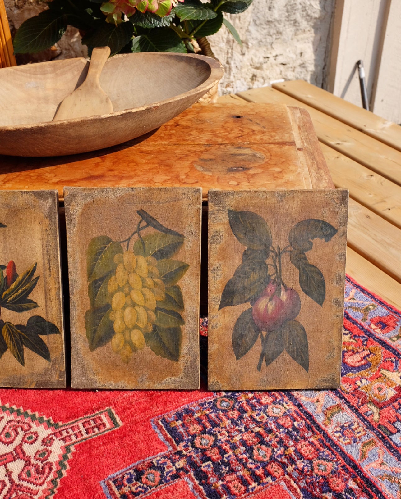 Antique Fruit Paintings