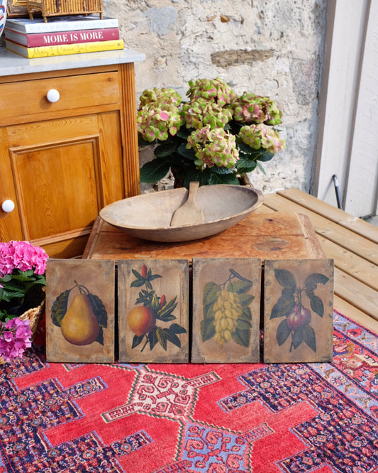 Antique Fruit Paintings