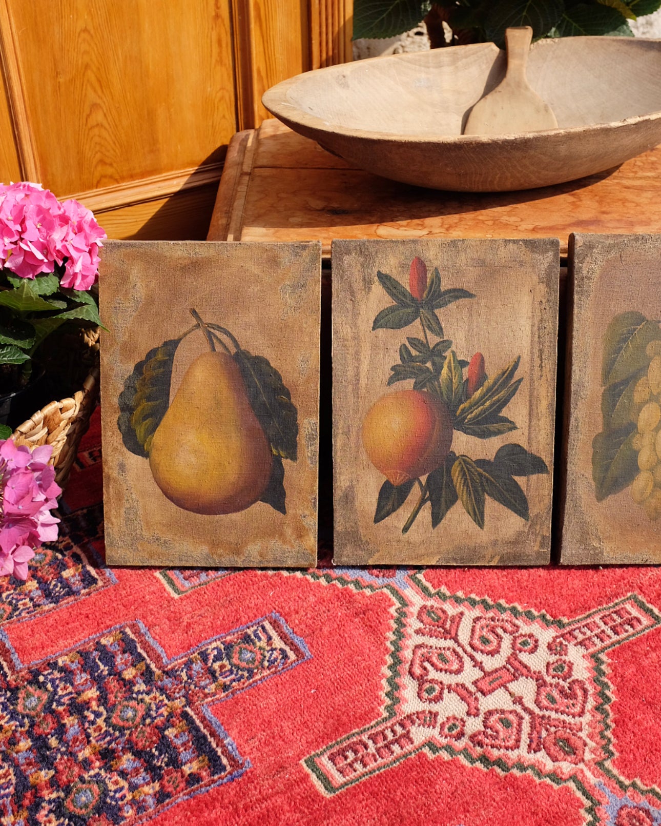 Antique Fruit Paintings