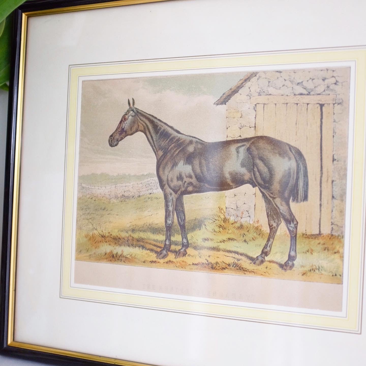 Horse Print in Black Frame