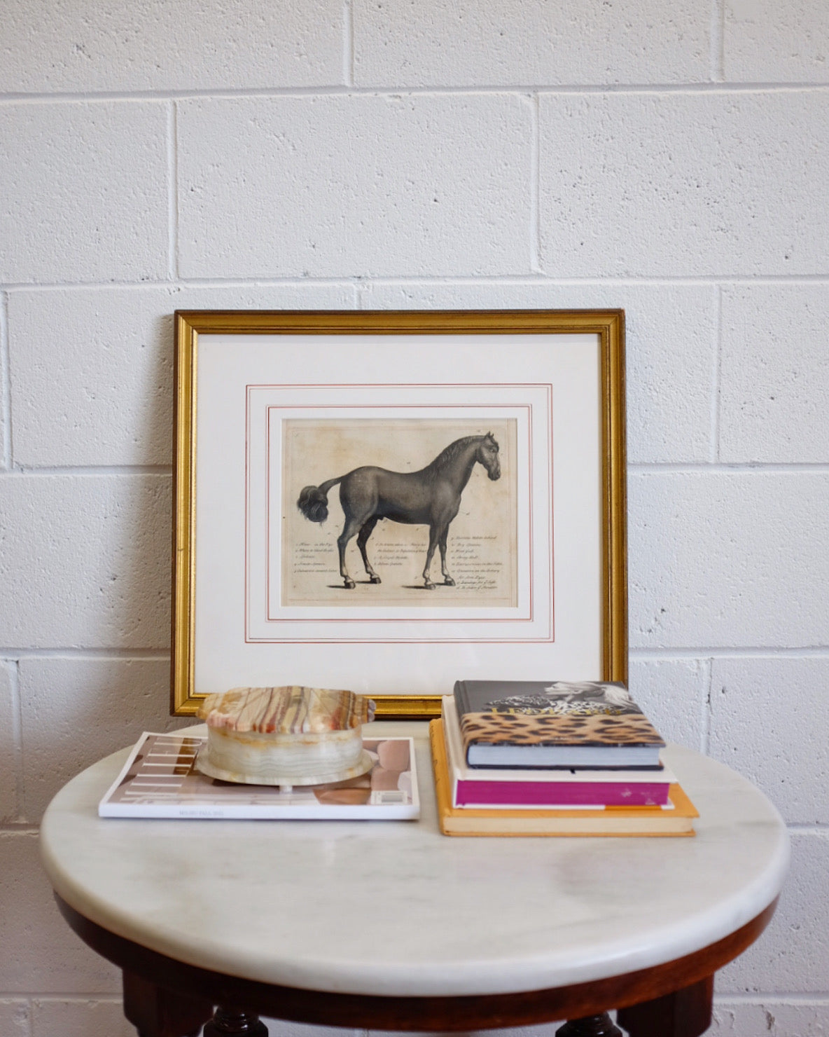 Horse Anatomy Print in Gold Frame
