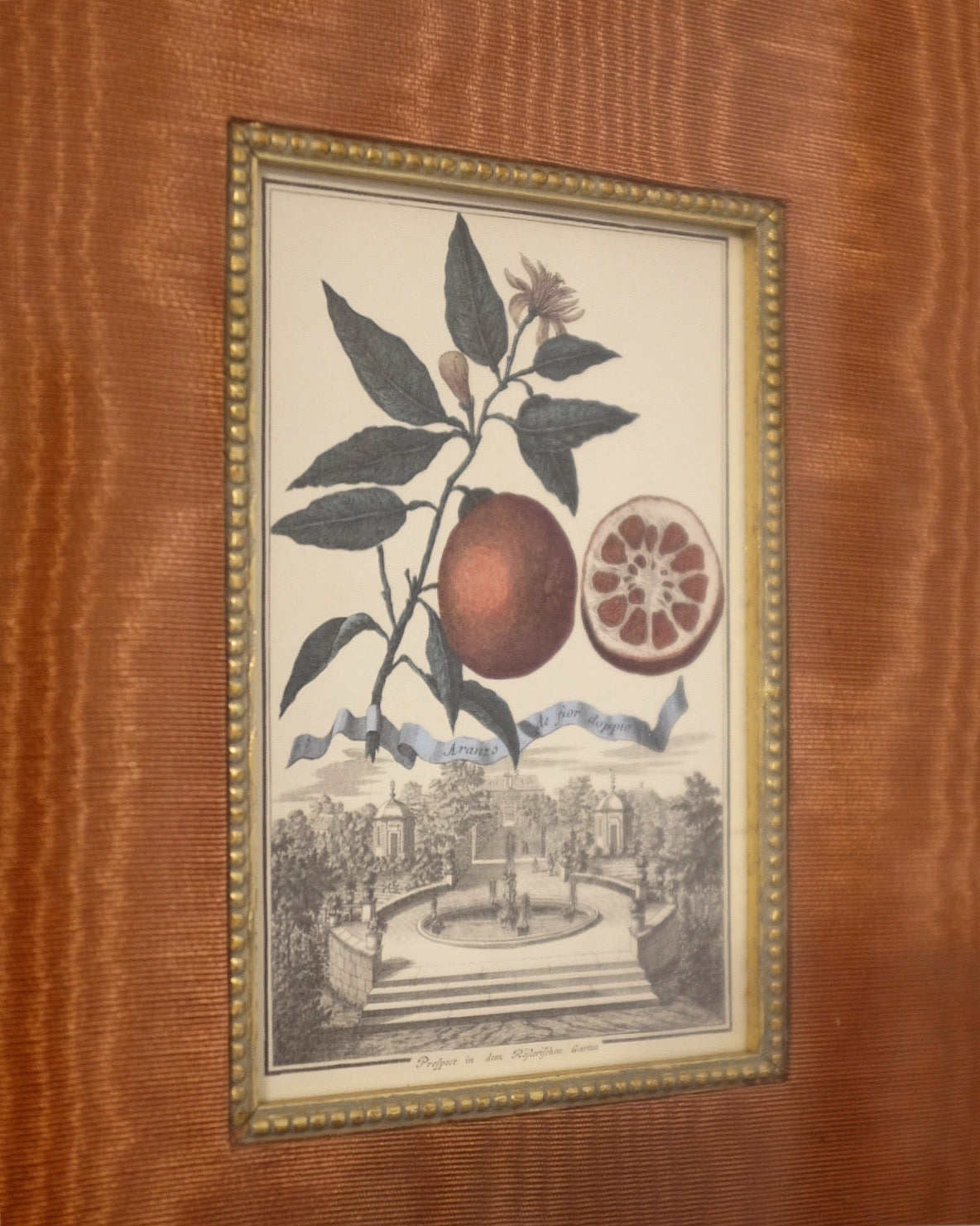 Pair of Botanicals with Moiree Silk Matting and Bow Frame