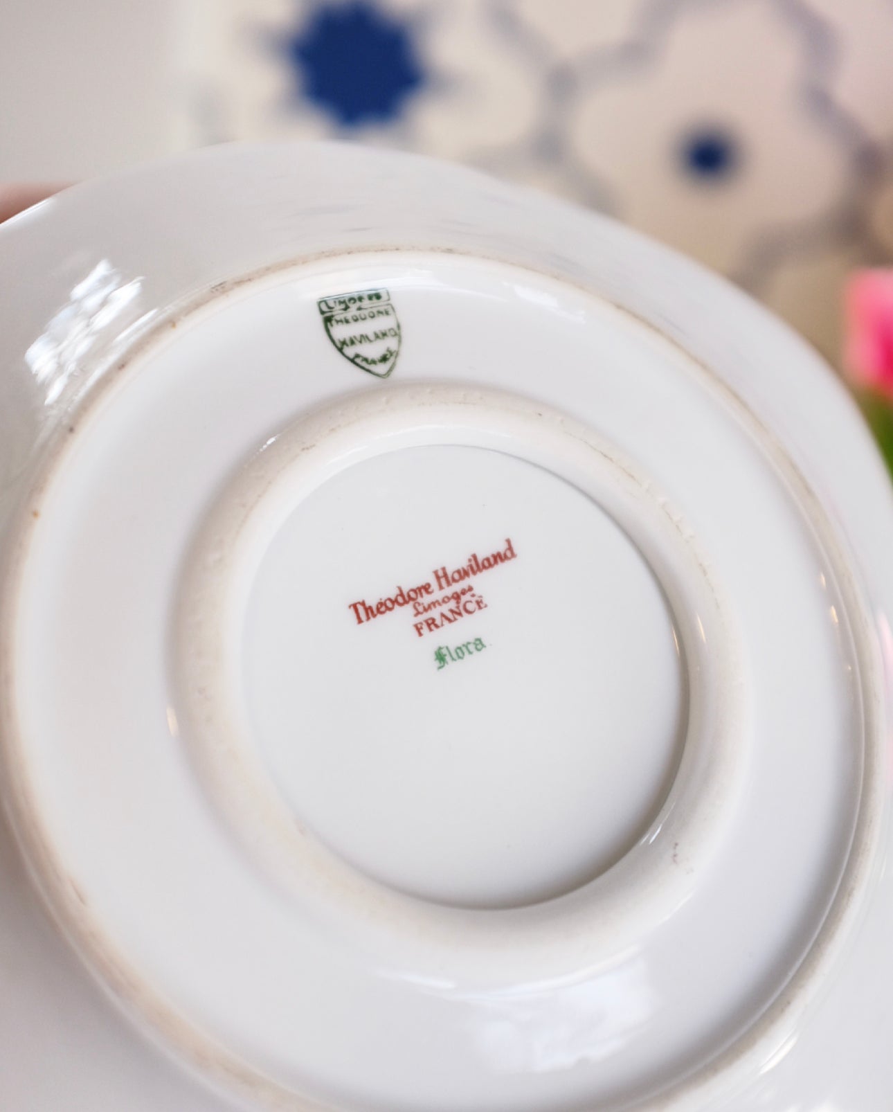 17 Piece Limoges France Theodore Haviland 'Flora' Lot