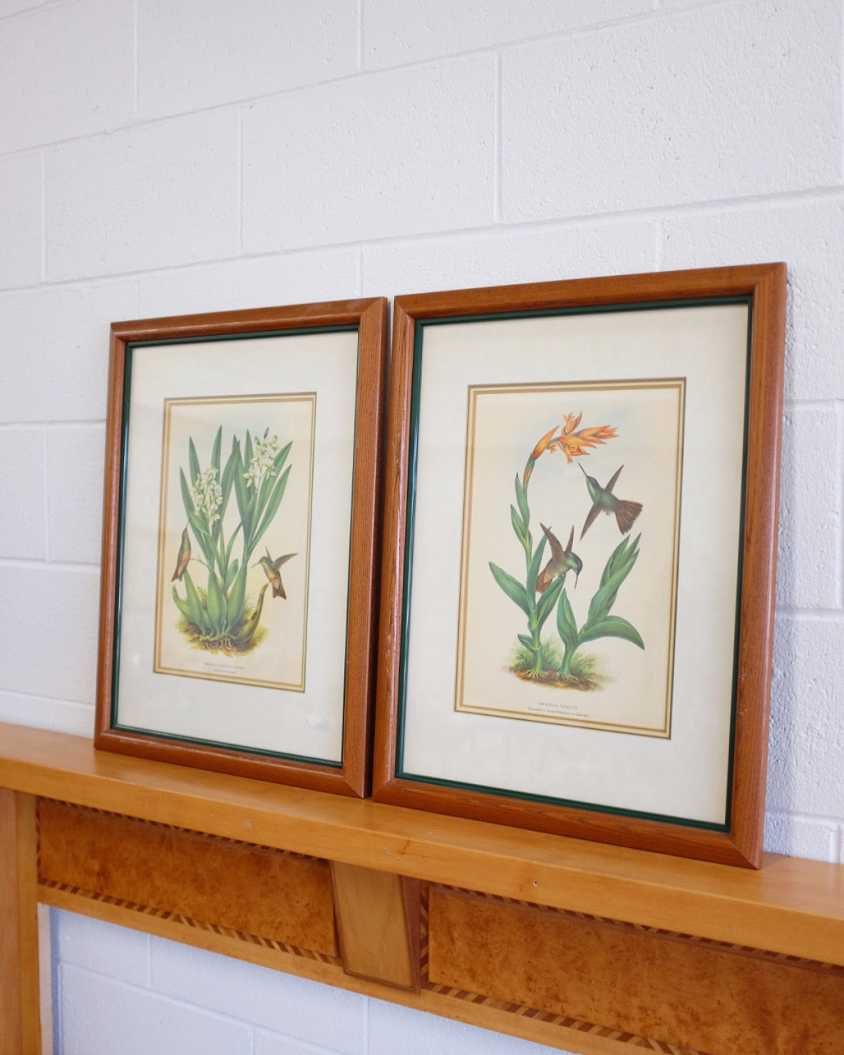 Pair of Botanicals with Hummingbirds