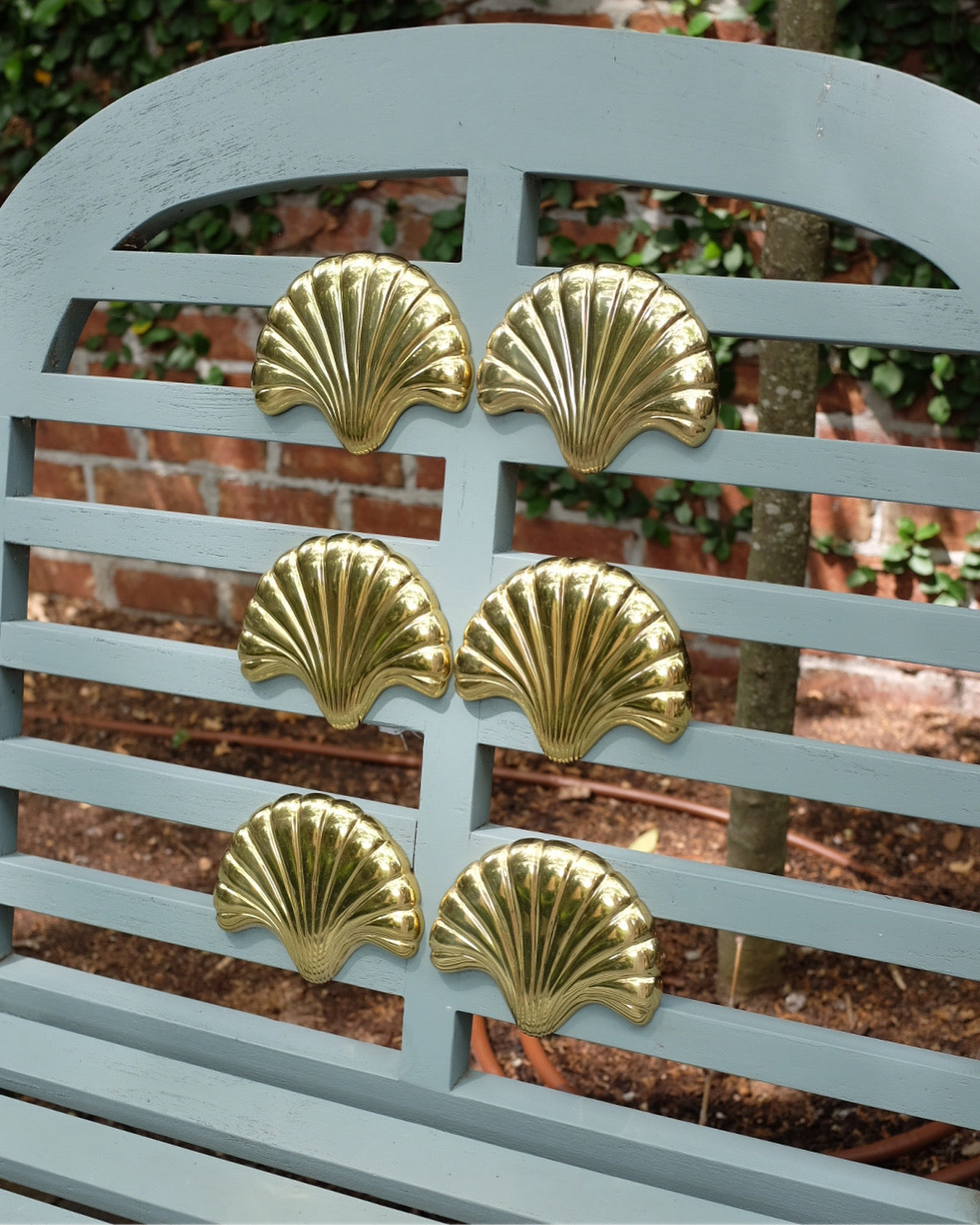 Shell Hold Backs/Hooks