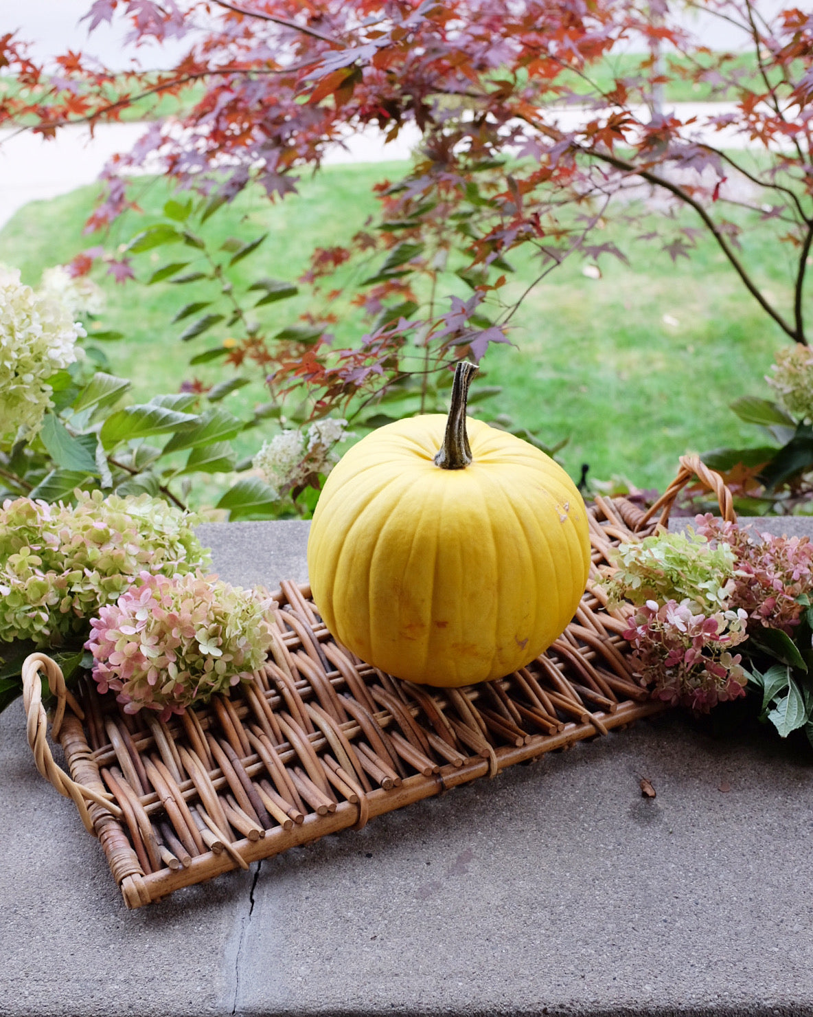 Wicker Trays