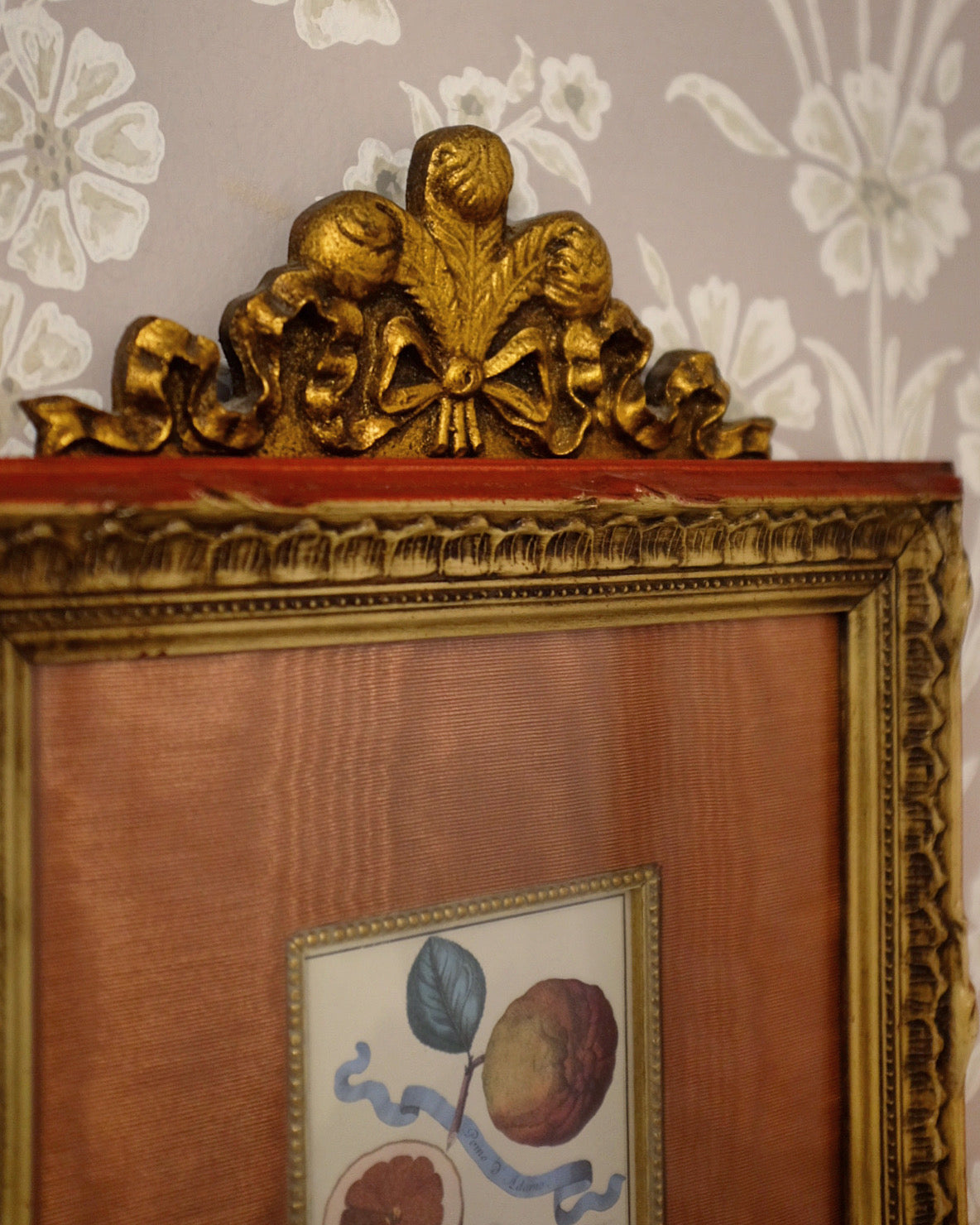 Pair of Botanicals with Moiree Silk Matting and Bow Frame