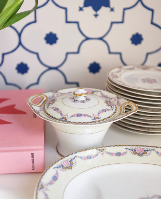 17 Piece Limoges France Theodore Haviland 'Flora' Lot