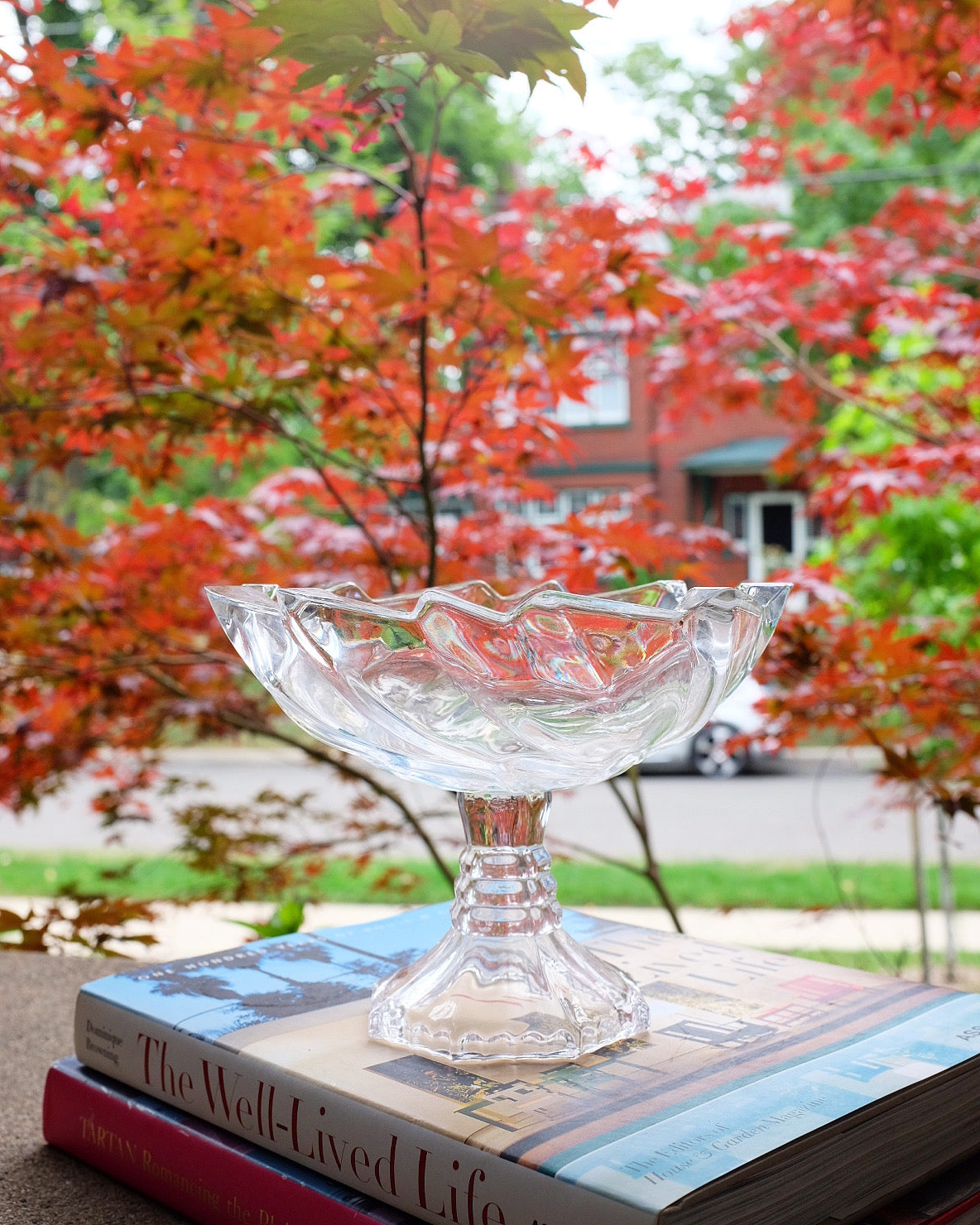 Glass Bowl on Pedestal