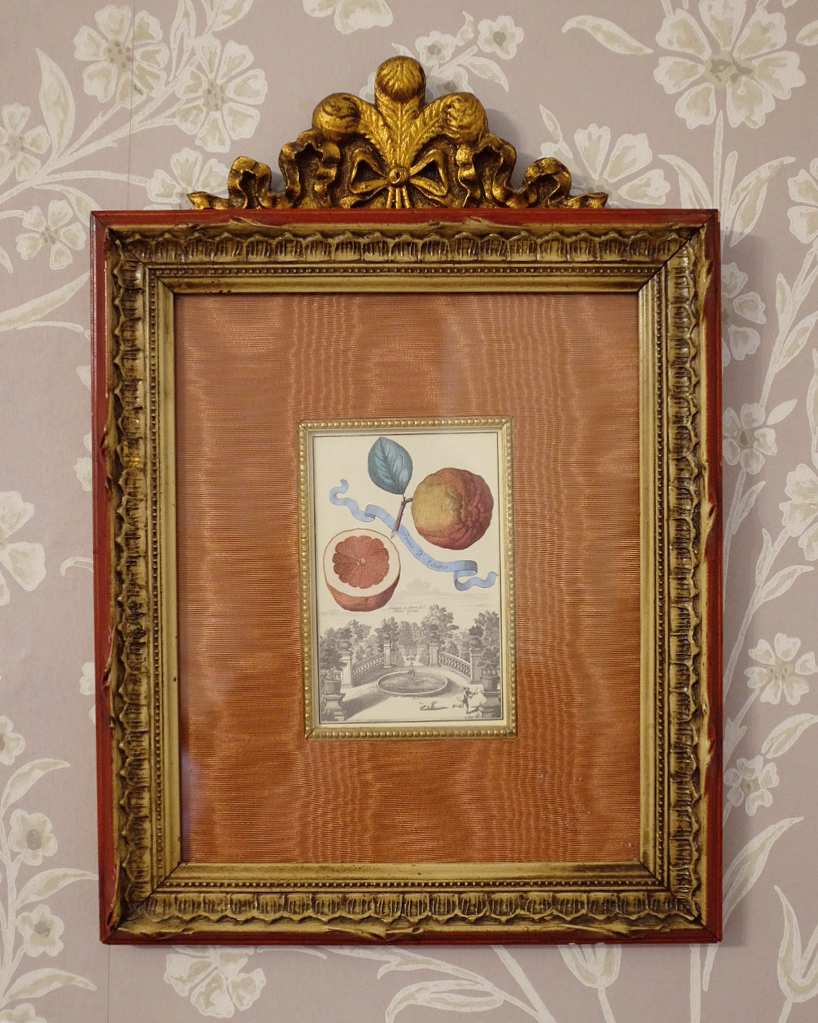 Pair of Botanicals with Moiree Silk Matting and Bow Frame
