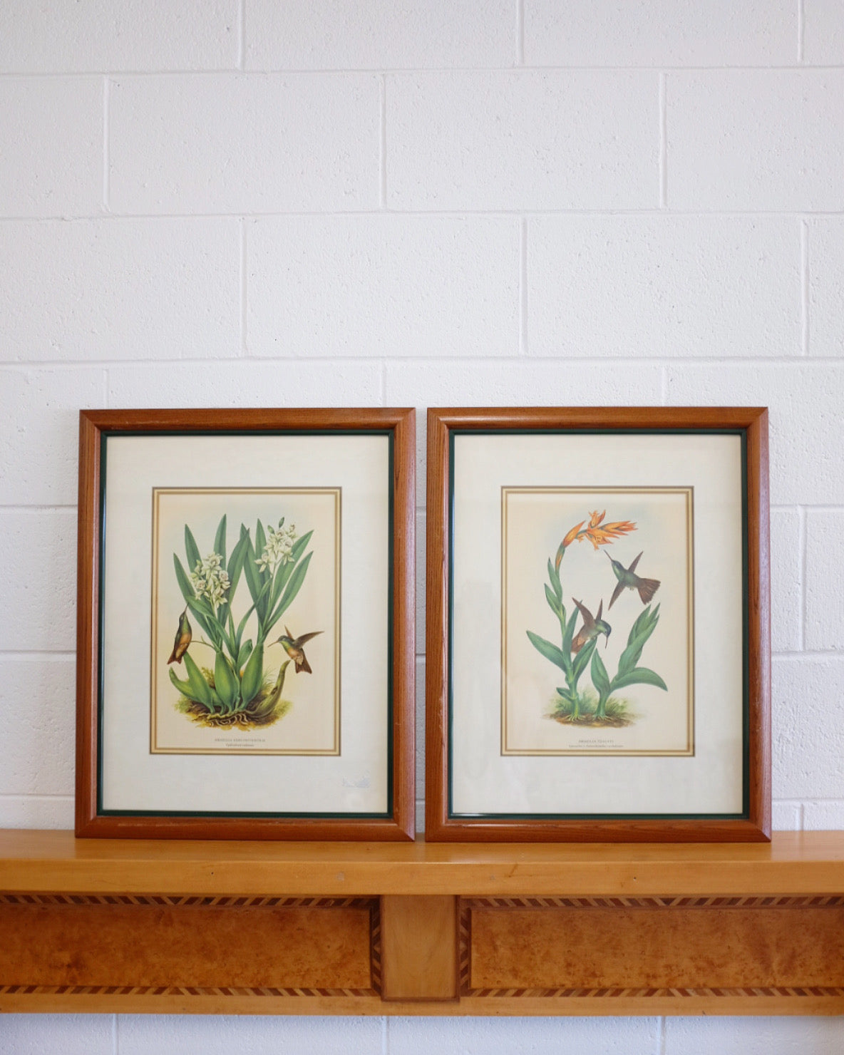 Pair of Botanicals with Hummingbirds