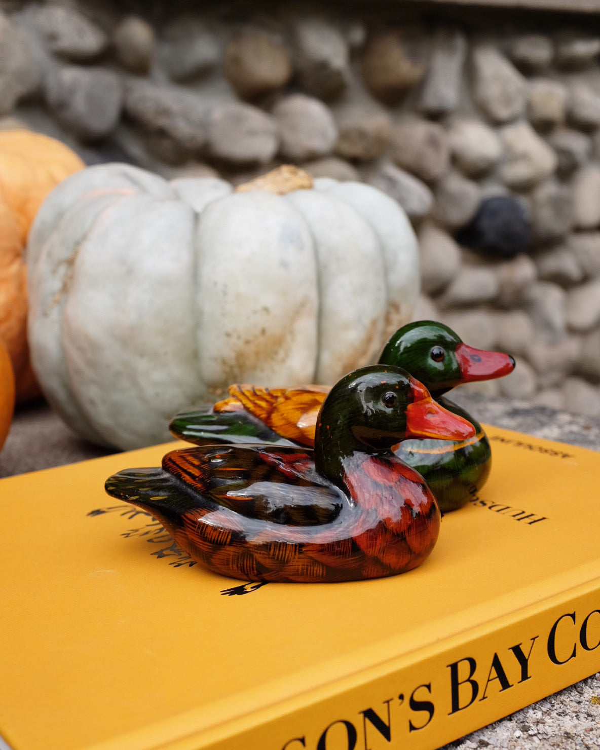 Pair of Glazed Ducks
