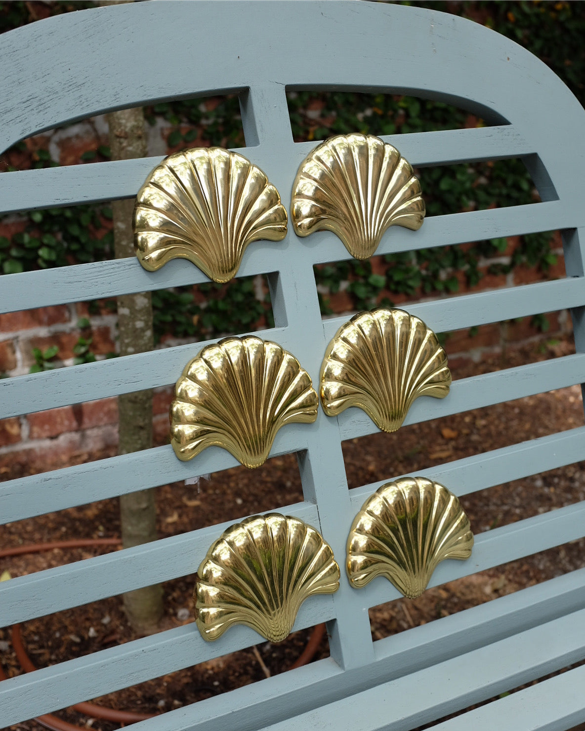 Shell Hold Backs/Hooks