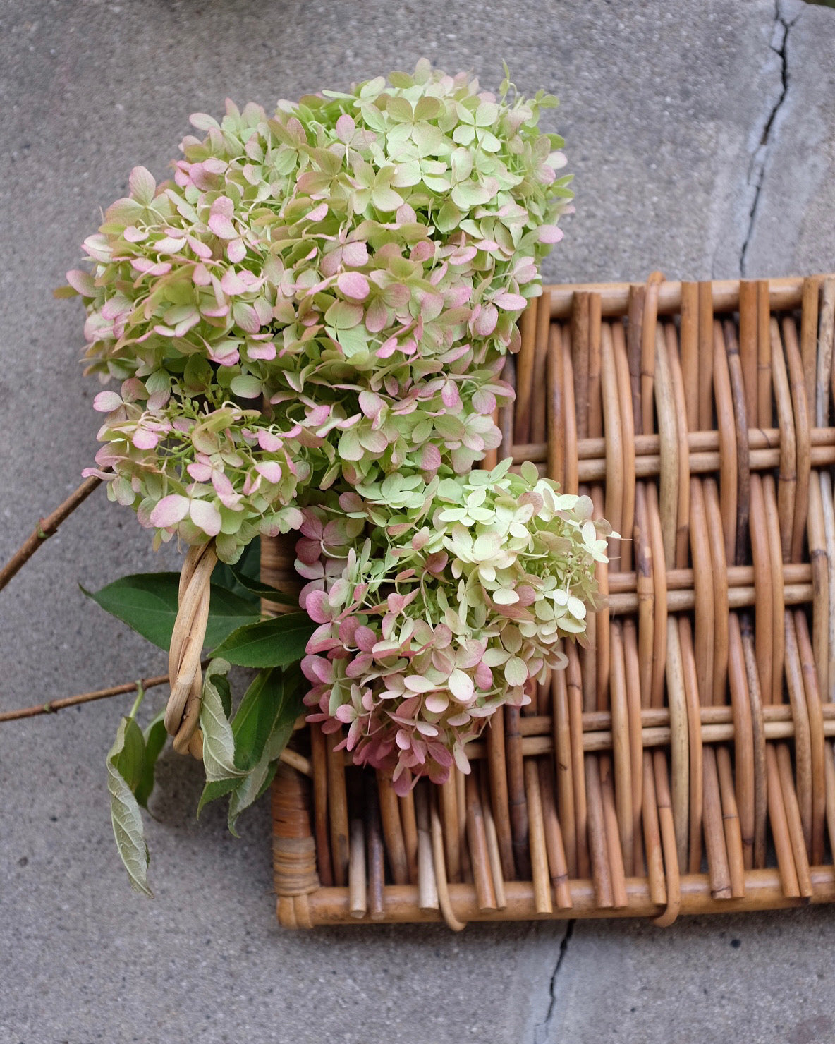 Wicker Trays