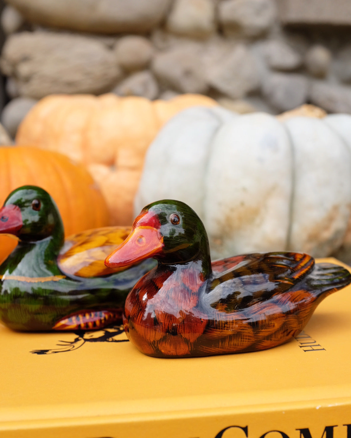 Pair of Glazed Ducks