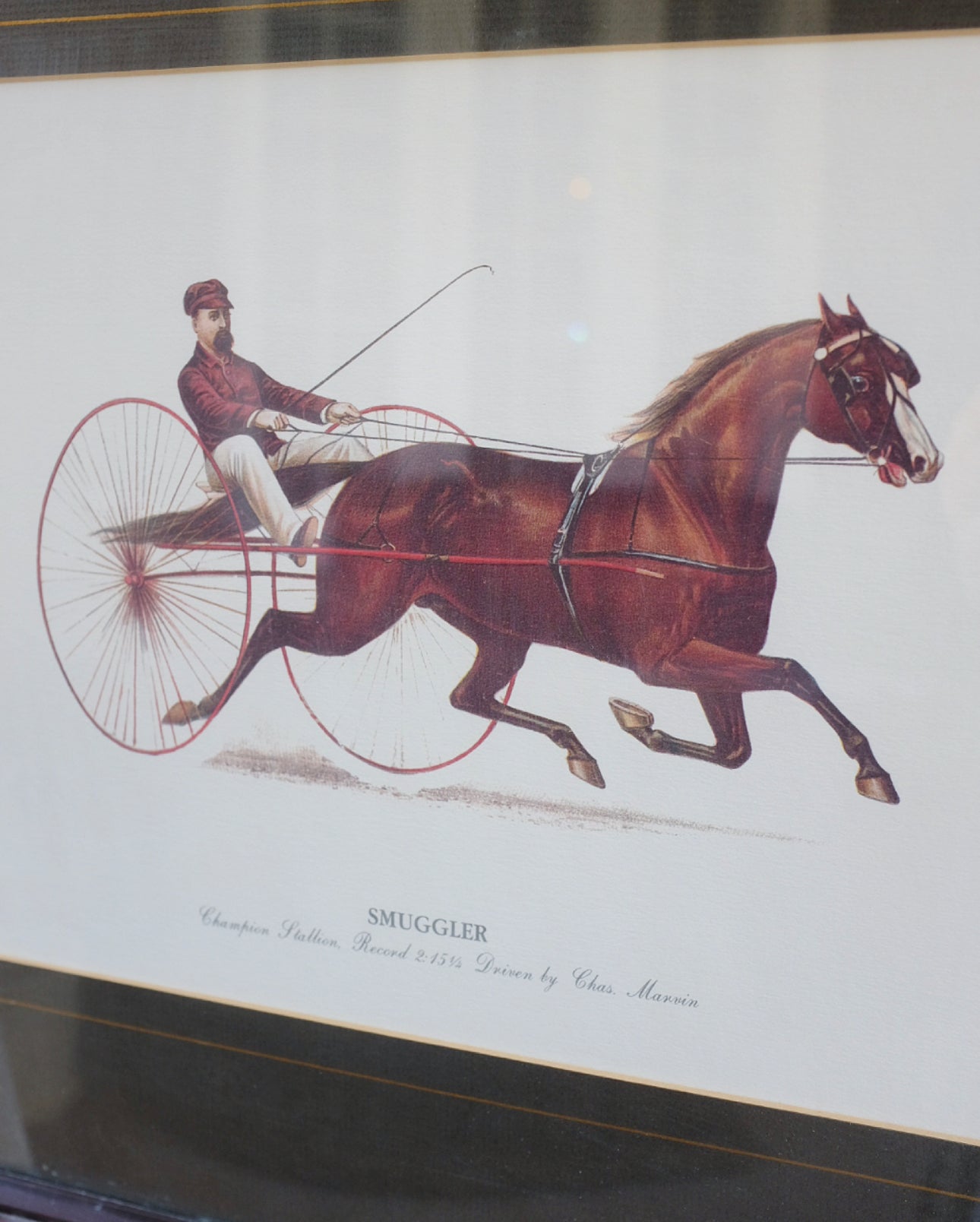 Harness Racing Print in Campaign Frame