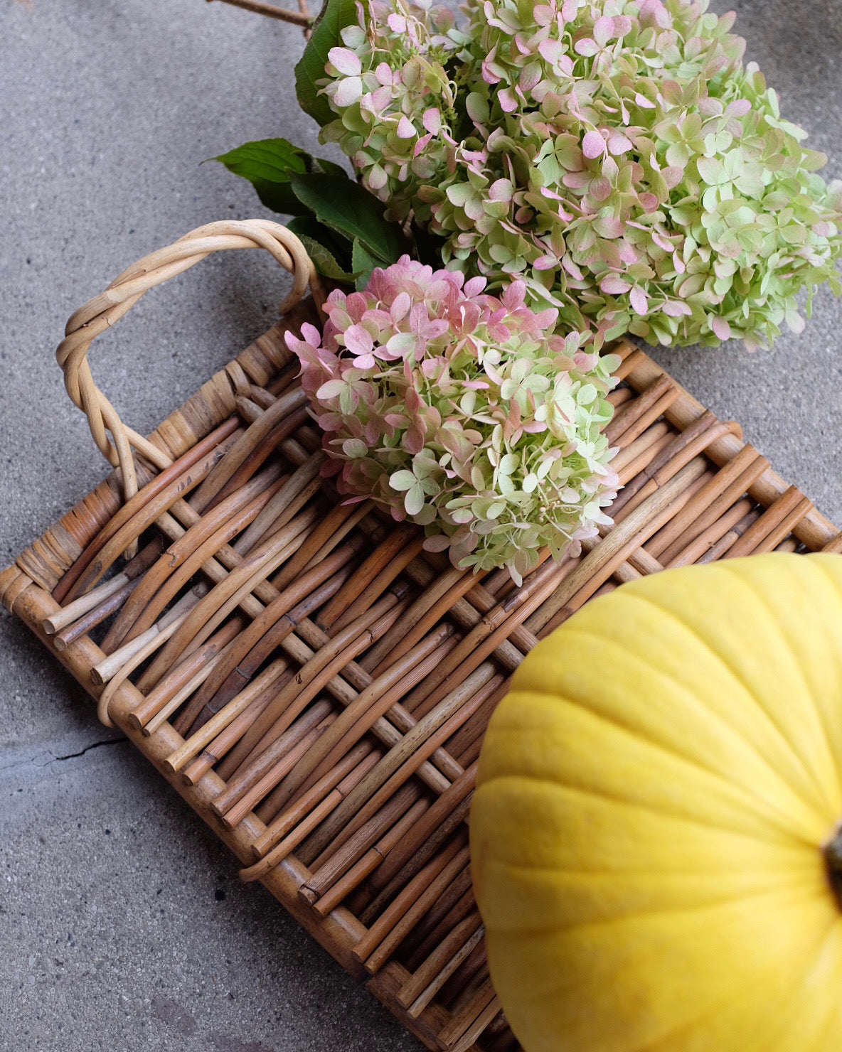 Wicker Trays