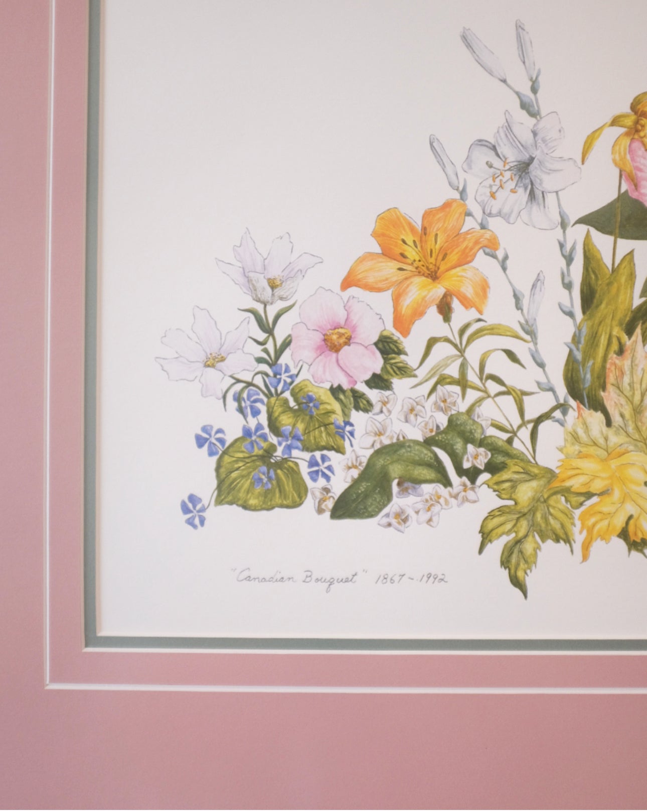 Canadian Bouquet Print with Pink Matting