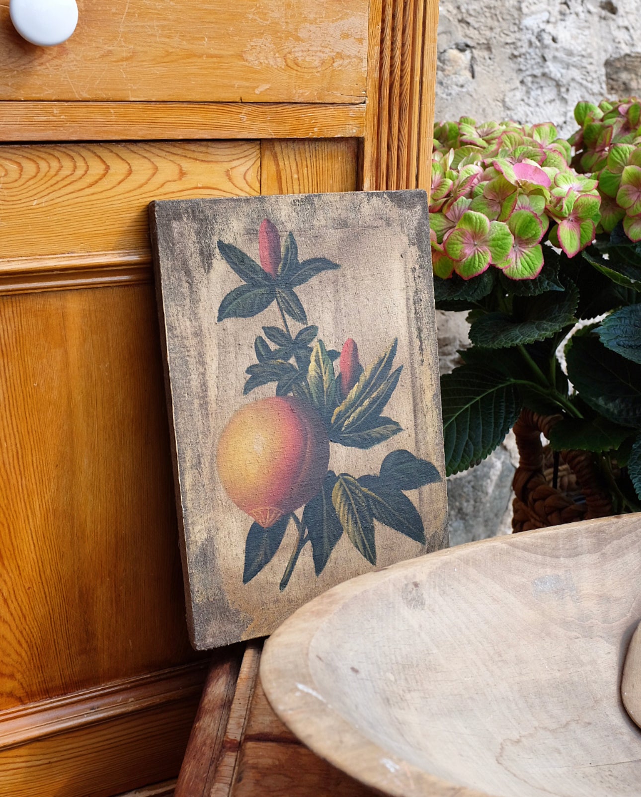 Antique Fruit Paintings