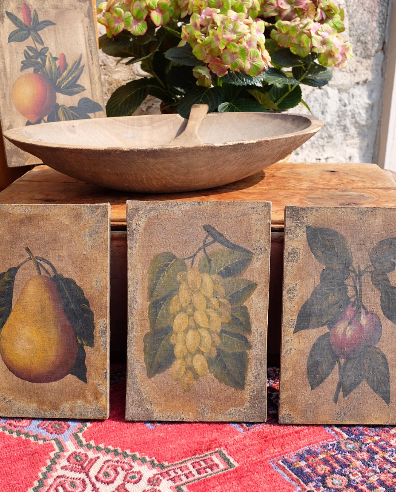 Antique Fruit Paintings