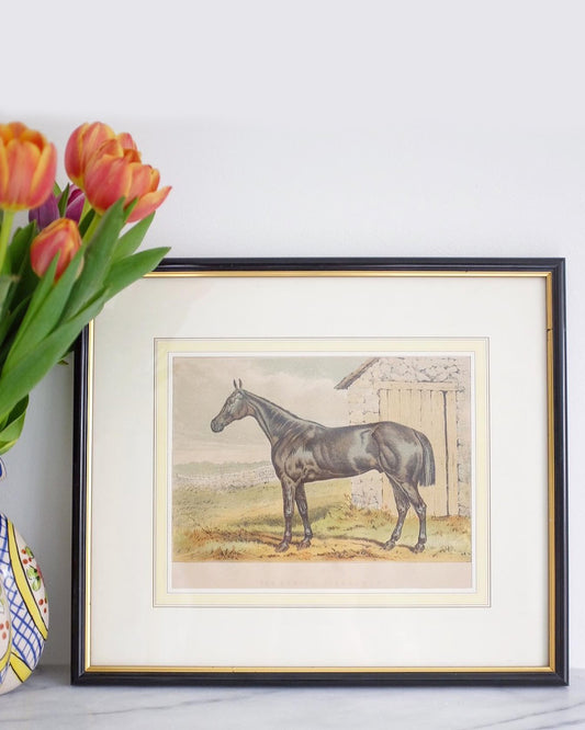 Horse Print in Black Frame
