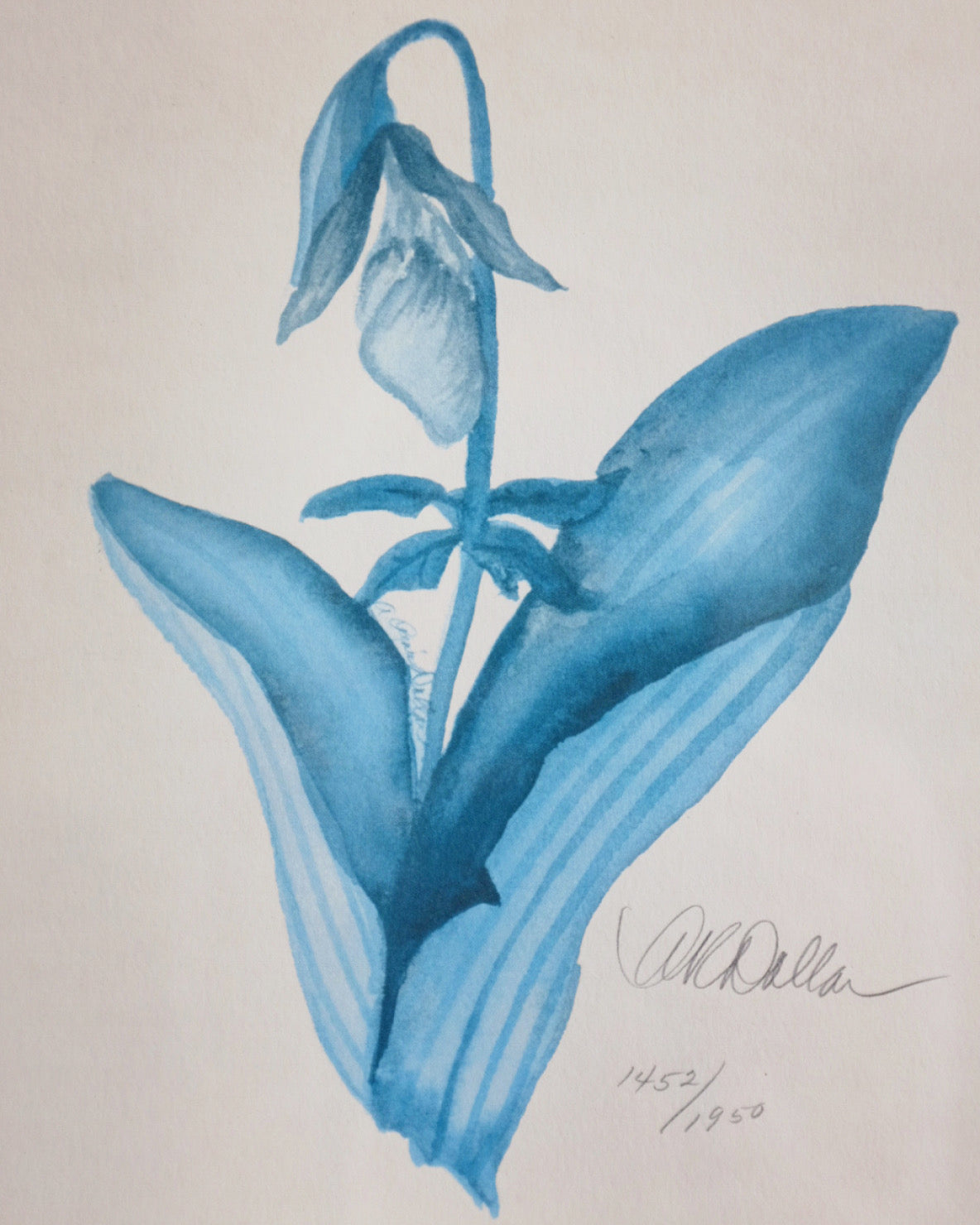 Signed & Numbered Blue Botanical Print